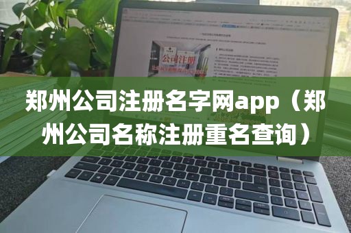 郑州公司注册名字网app（郑州公司名称注册重名查询）
