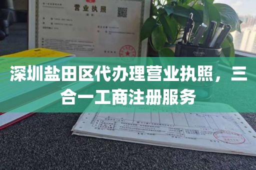 深圳盐田区代办理营业执照，三合一工商注册服务