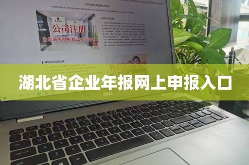 湖北省企业年报网上申报入口