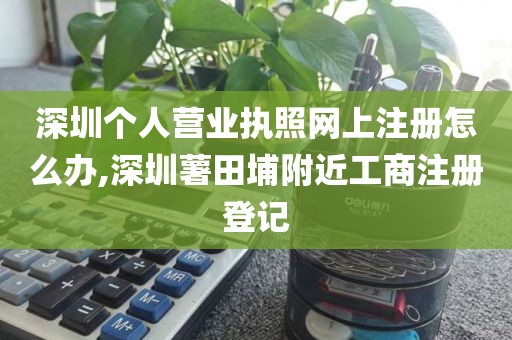 深圳个人营业执照网上注册怎么办,深圳薯田埔附近工商注册登记