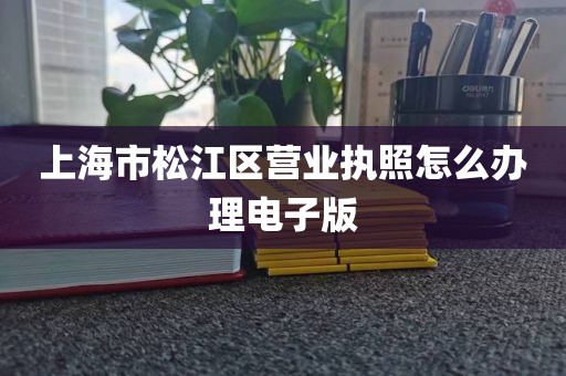 上海市松江区营业执照怎么办理电子版