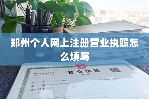 郑州个人网上注册营业执照怎么填写