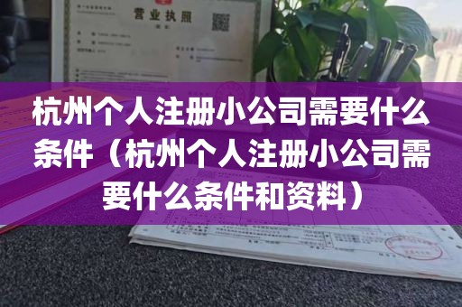 杭州个人注册小公司需要什么条件（杭州个人注册小公司需要什么条件和资料）