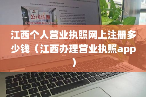 江西个人营业执照网上注册多少钱（江西办理营业执照app）