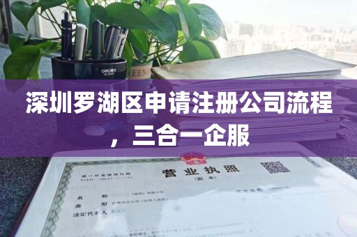 深圳罗湖区申请注册公司流程，三合一企服