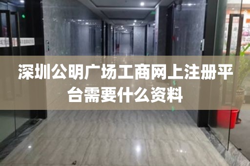 深圳公明广场工商网上注册平台需要什么资料