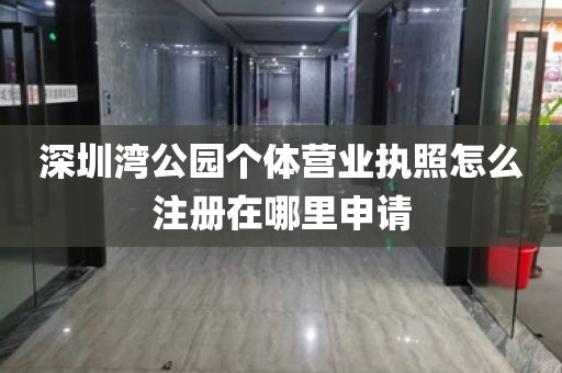 深圳湾公园个体营业执照怎么注册在哪里申请