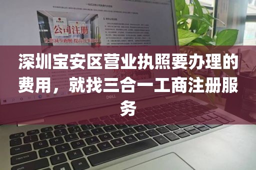 深圳宝安区营业执照要办理的费用，就找三合一工商注册服务