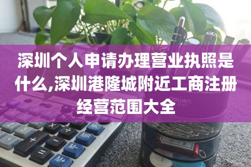 深圳个人申请办理营业执照是什么,深圳港隆城附近工商注册经营范围大全