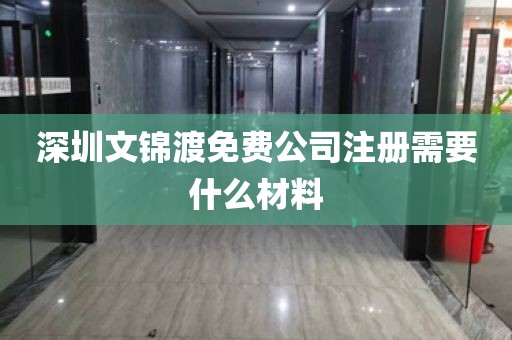 深圳文锦渡免费公司注册需要什么材料