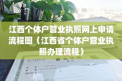 江西个体户营业执照网上申请流程图（江西省个体户营业执照办理流程）