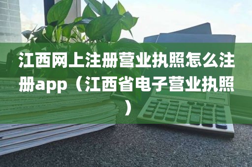 江西网上注册营业执照怎么注册app（江西省电子营业执照）
