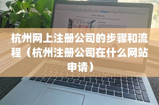 杭州网上注册公司的步骤和流程（杭州注册公司在什么网站申请）