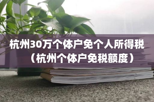 杭州30万个体户免个人所得税（杭州个体户免税额度）