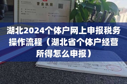 湖北2024个体户网上申报税务操作流程（湖北省个体户经营所得怎么申报）