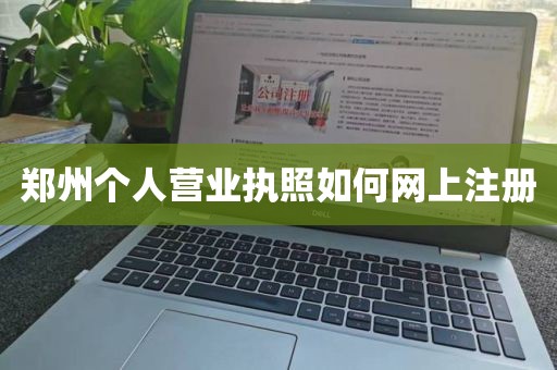 郑州个人营业执照如何网上注册