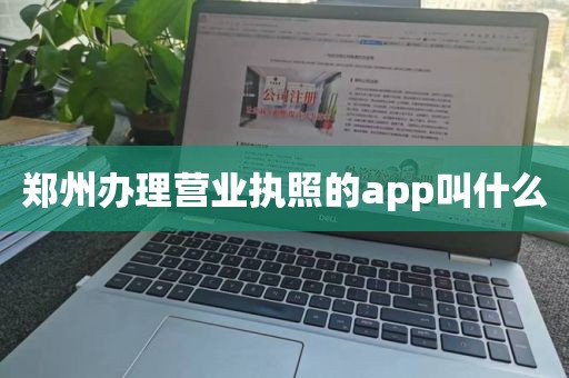 郑州办理营业执照的app叫什么