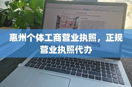 惠州个体工商营业执照，正规营业执照代办