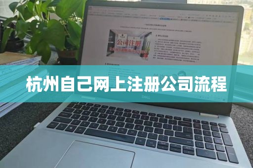 杭州自己网上注册公司流程