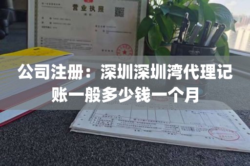 公司注册：深圳深圳湾代理记账一般多少钱一个月