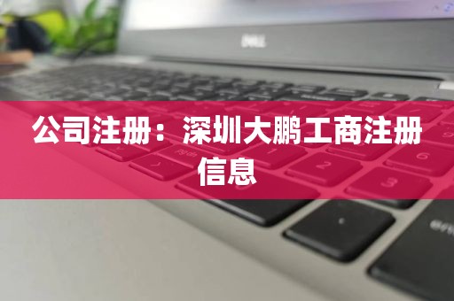 公司注册：深圳大鹏工商注册信息
