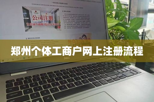郑州个体工商户网上注册流程