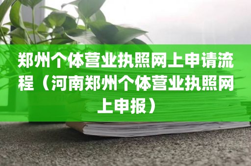 郑州个体营业执照网上申请流程（河南郑州个体营业执照网上申报）
