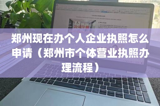 郑州现在办个人企业执照怎么申请（郑州市个体营业执照办理流程）