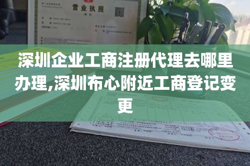 深圳企业工商注册代理去哪里办理,深圳布心附近工商登记变更