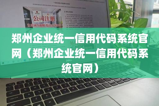 郑州企业统一信用代码系统官网（郑州企业统一信用代码系统官网）