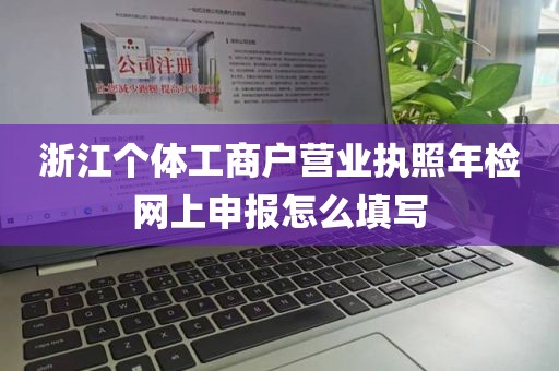 浙江个体工商户营业执照年检网上申报怎么填写