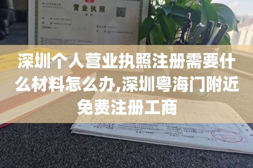 深圳个人营业执照注册需要什么材料怎么办,深圳粤海门附近免费注册工商