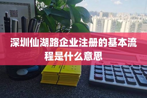深圳仙湖路企业注册的基本流程是什么意思
