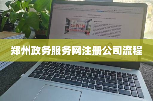 郑州政务服务网注册公司流程