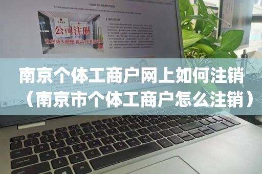 南京个体工商户网上如何注销（南京市个体工商户怎么注销）
