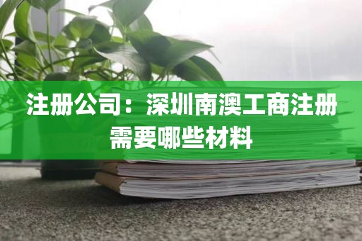注册公司：深圳南澳工商注册需要哪些材料