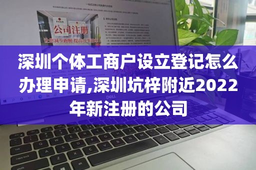 深圳个体工商户设立登记怎么办理申请,深圳坑梓附近2022年新注册的公司