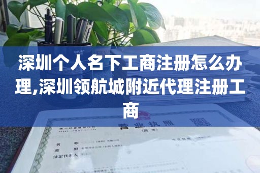 深圳个人名下工商注册怎么办理,深圳领航城附近代理注册工商