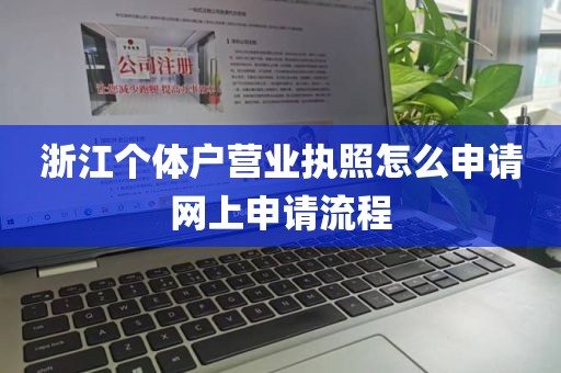 浙江个体户营业执照怎么申请网上申请流程