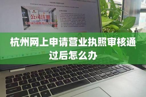 杭州网上申请营业执照审核通过后怎么办