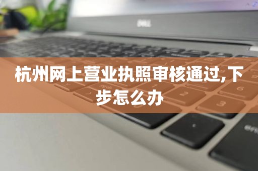 杭州网上营业执照审核通过,下步怎么办