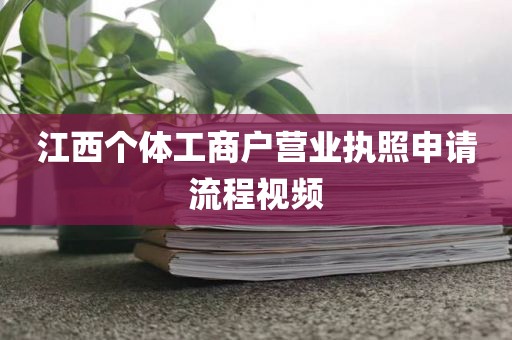 江西个体工商户营业执照申请流程视频
