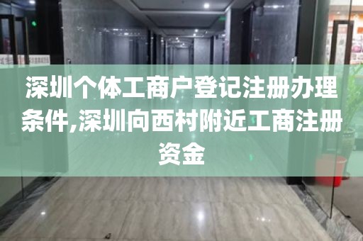 深圳个体工商户登记注册办理条件,深圳向西村附近工商注册资金