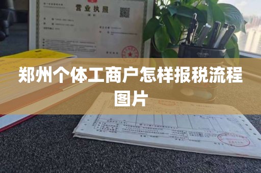 郑州个体工商户怎样报税流程图片