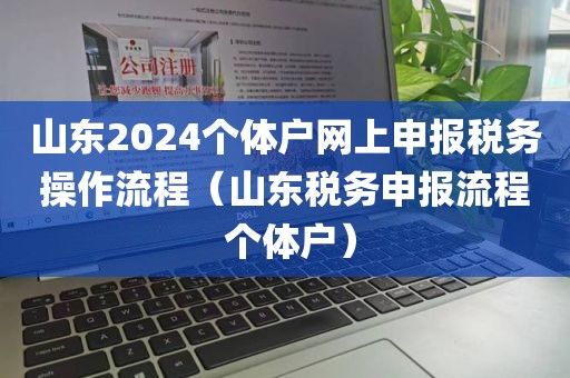 山东2024个体户网上申报税务操作流程（山东税务申报流程 个体户）