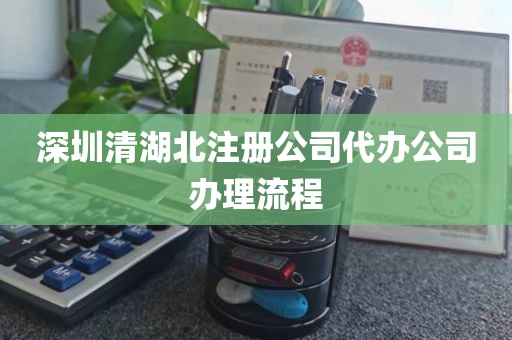 深圳清湖北注册公司代办公司办理流程