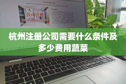 杭州注册公司需要什么条件及多少费用蔬菜