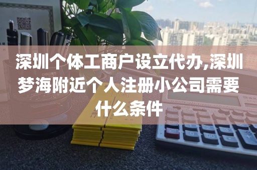 深圳个体工商户设立代办,深圳梦海附近个人注册小公司需要什么条件