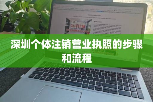 深圳个体注销营业执照的步骤和流程
