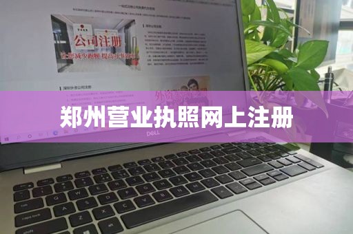 郑州营业执照网上注册